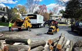 Best Storm Damage Tree Cleanup  in Cleveland, TN